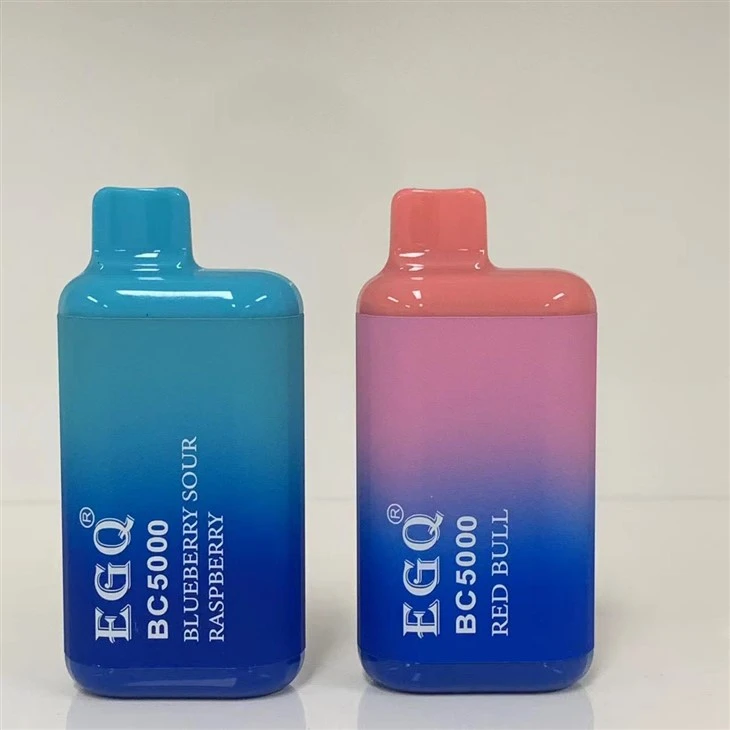 Hot Selling Plus 8000 Puffs Disposable Vape
