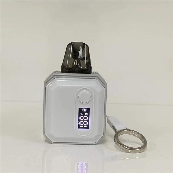 OEM/ODM 2024 Popular 600 Puffs Wholesale Vape Pod