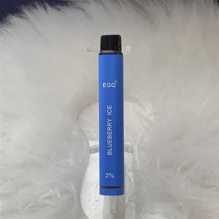 OEM ODM Disposable Vape 600 Puffs E Cigarette Wholesale