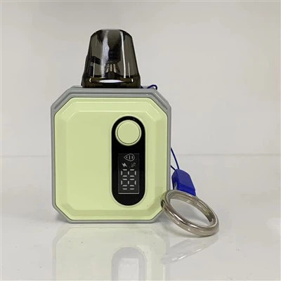 E Cigarette Mini Electronic Cigarette Custom Vape Pod Factory 600 Puff